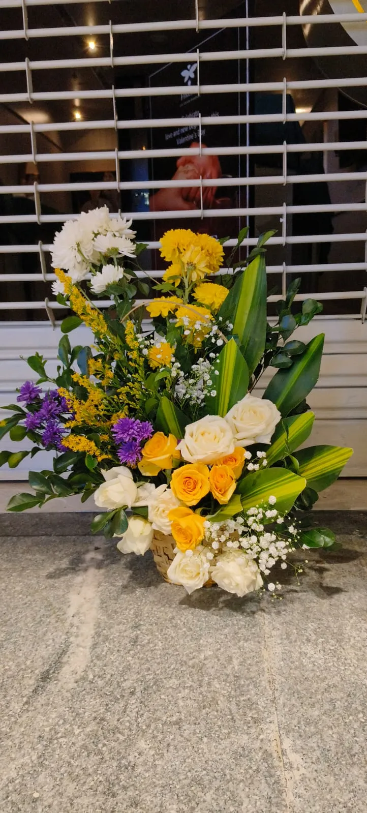 Birthday Photography